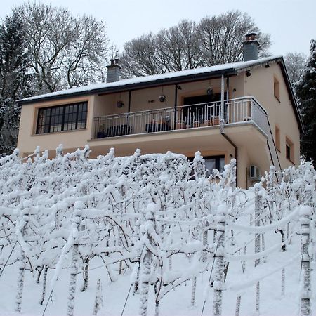 Ferienwohnung Casavitis Erholung Am Weinberg Lontzen Exterior foto