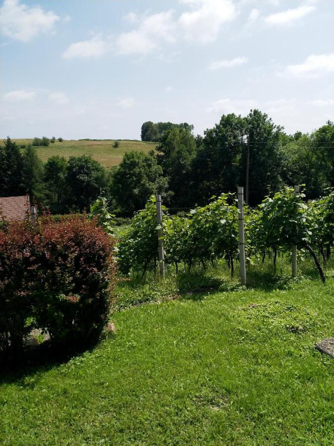 Ferienwohnung Casavitis Erholung Am Weinberg Lontzen Exterior foto