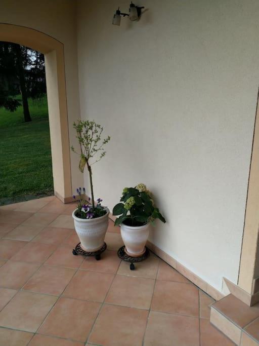 Ferienwohnung Casavitis Erholung Am Weinberg Lontzen Exterior foto