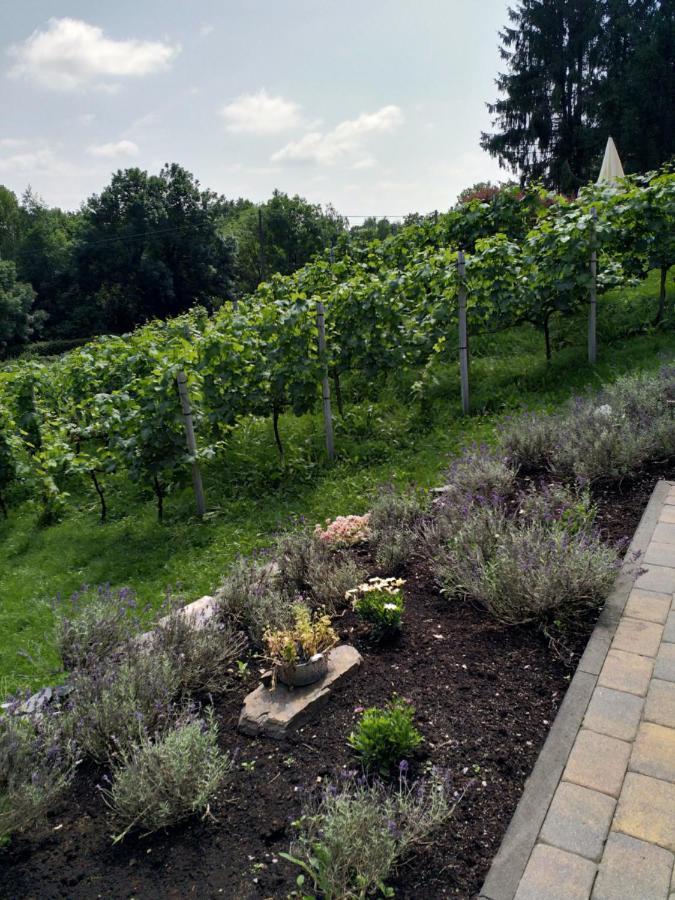 Ferienwohnung Casavitis Erholung Am Weinberg Lontzen Exterior foto