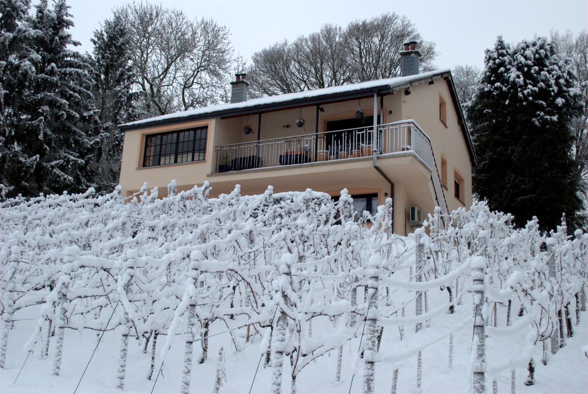 Ferienwohnung Casavitis Erholung Am Weinberg Lontzen Exterior foto