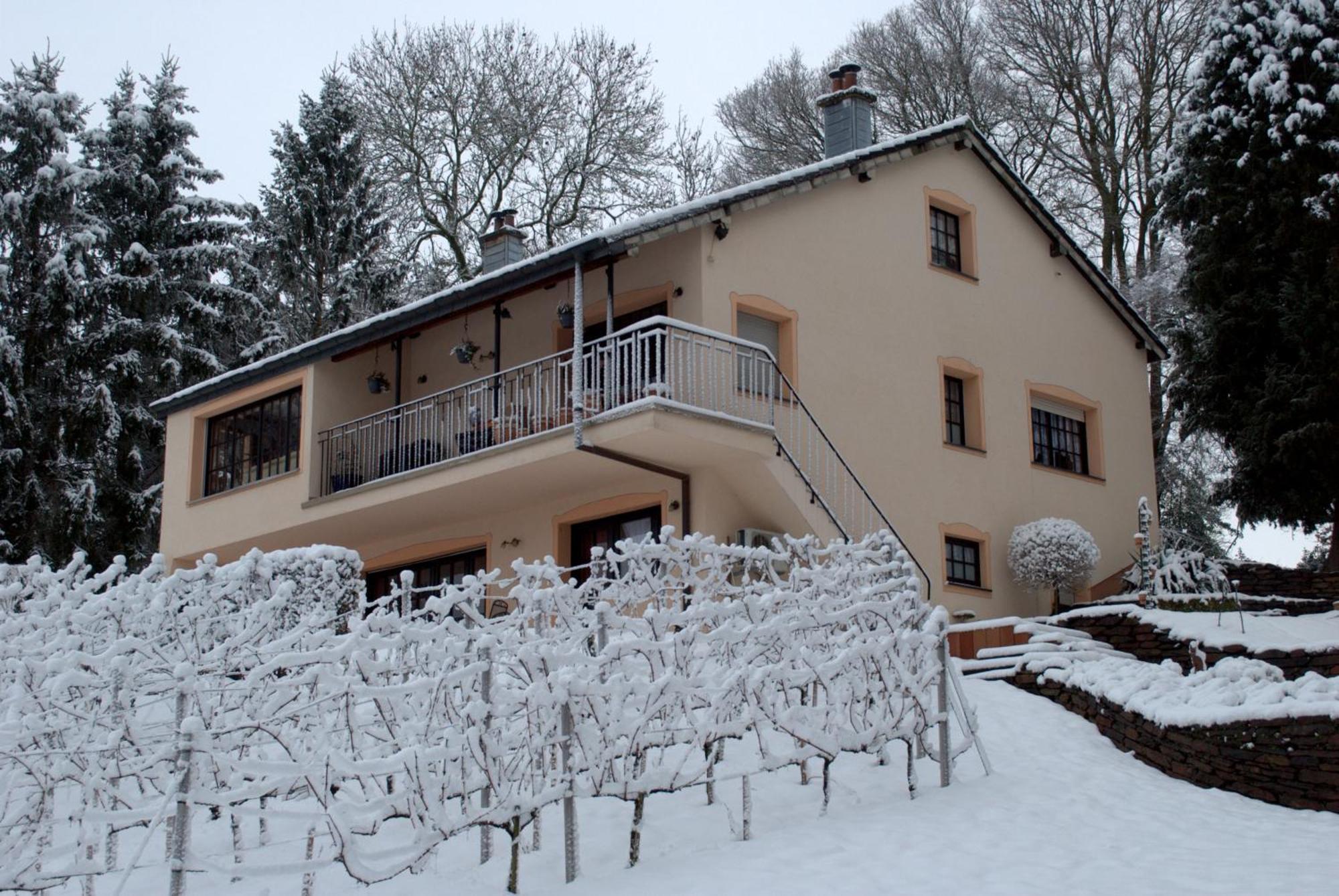 Ferienwohnung Casavitis Erholung Am Weinberg Lontzen Exterior foto
